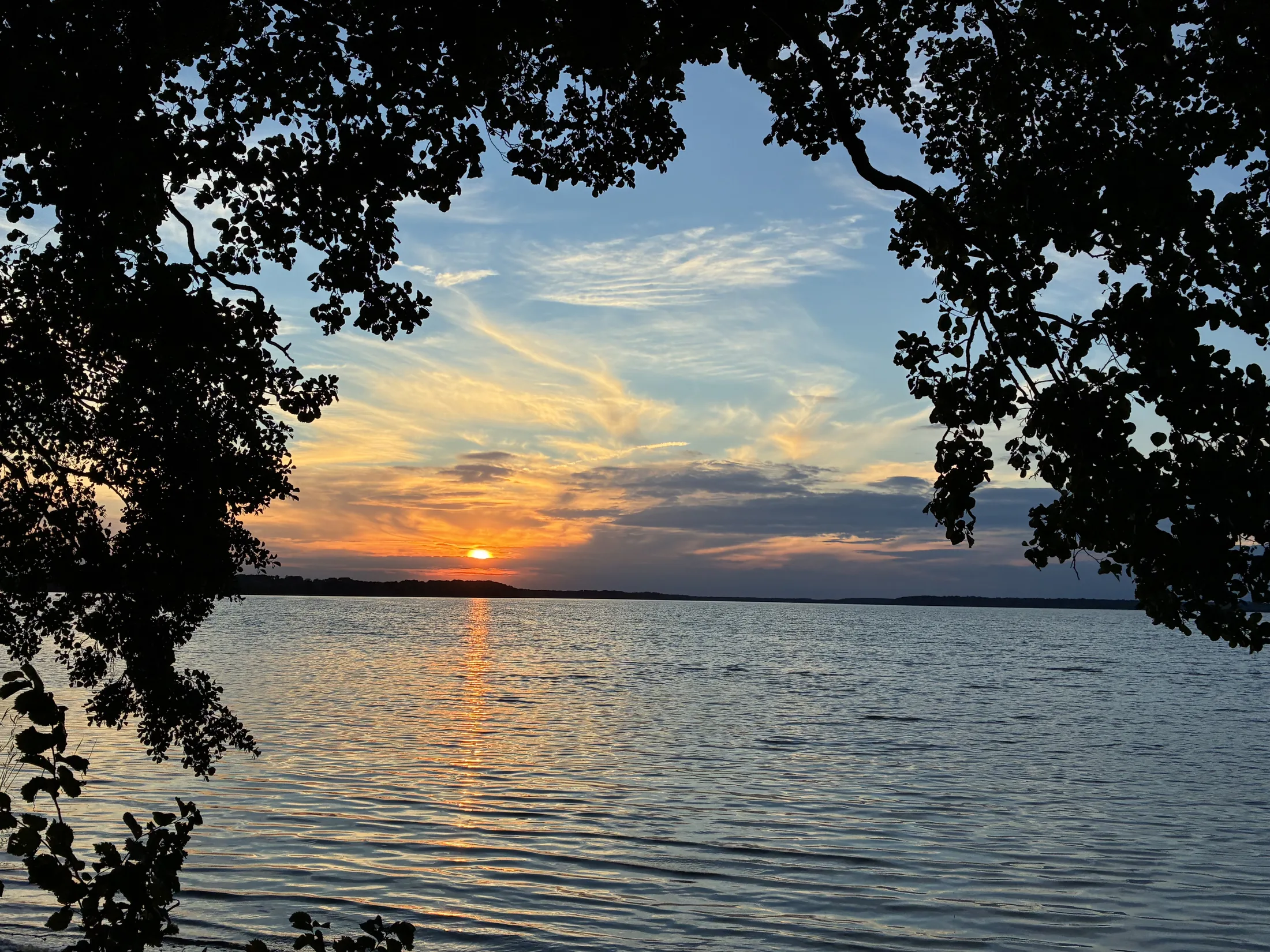 Sonnenuntergang über der Müritz bei Klink, eingerahmt von Bäumen